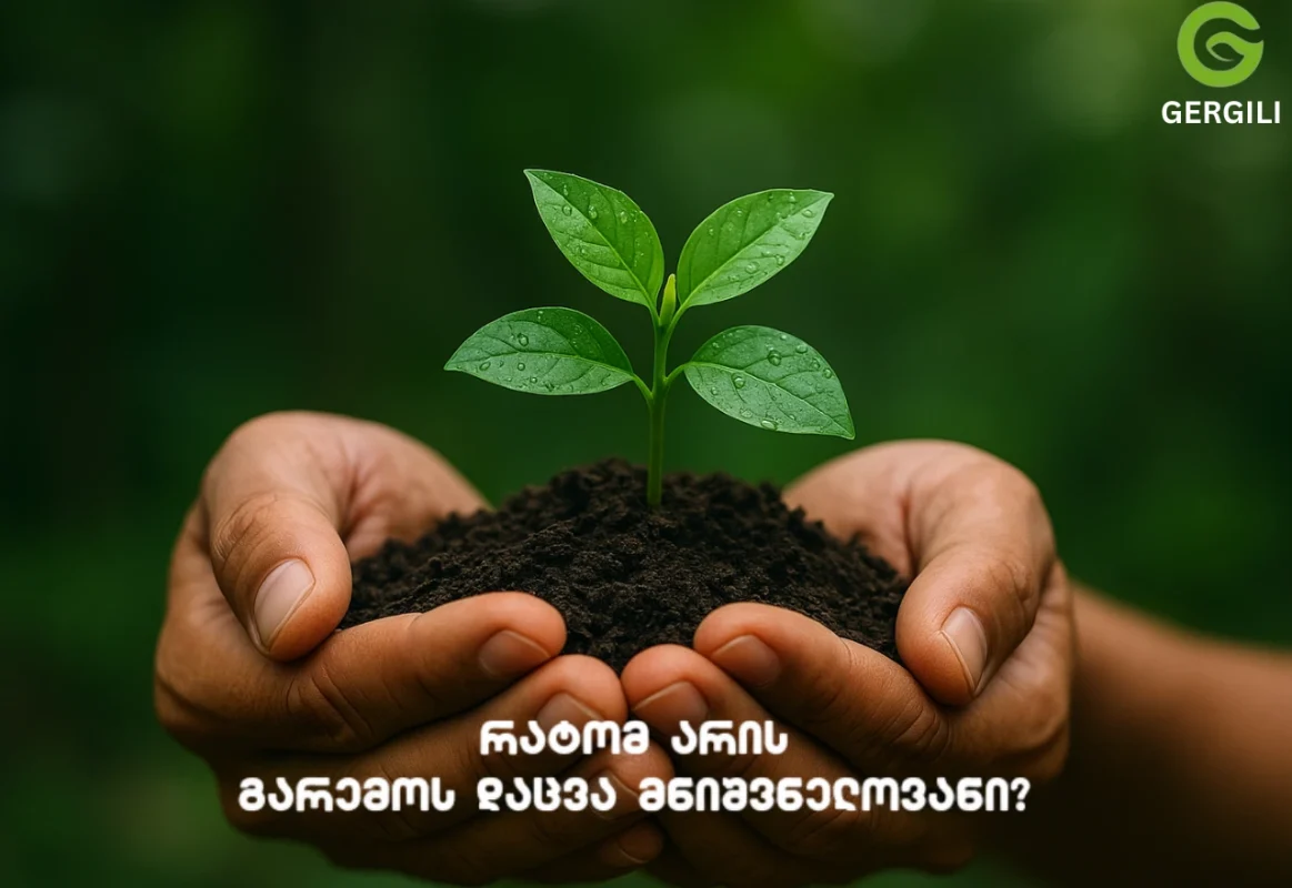 რატომ არის გარემოს დაცვა მნიშვნელოვანი